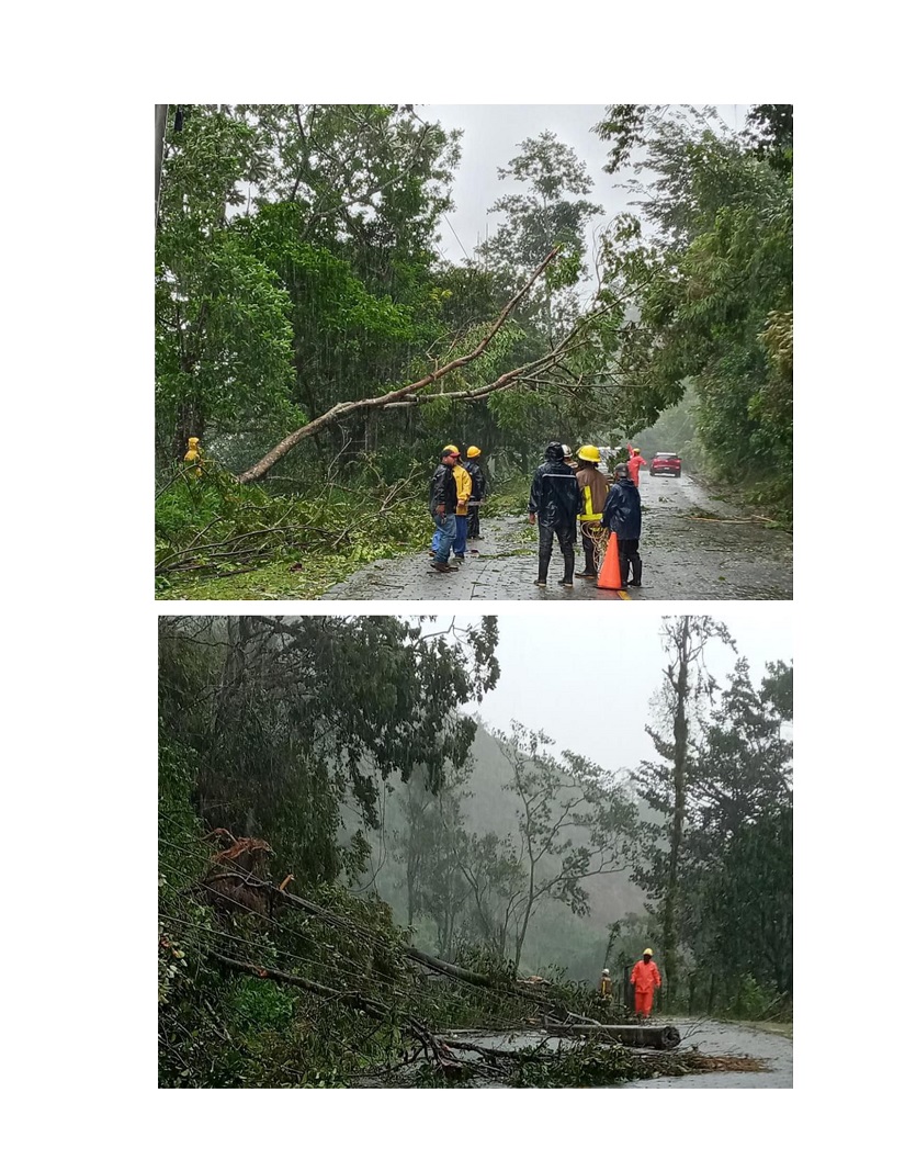 BOMBEROS